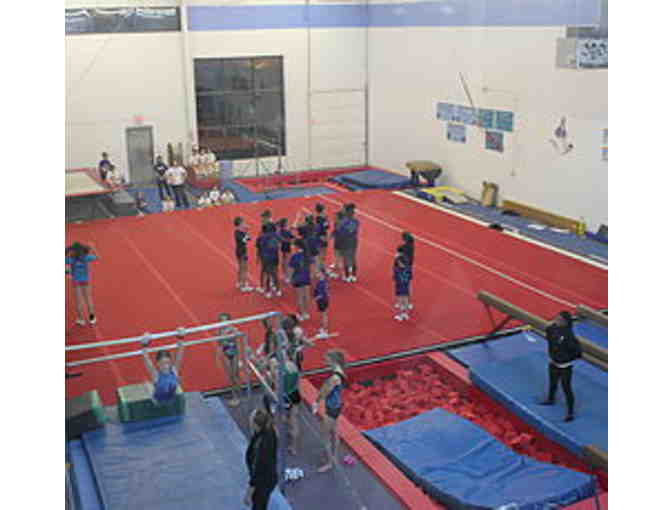 8 Gymnastics Classes for one child aged 2-12 years