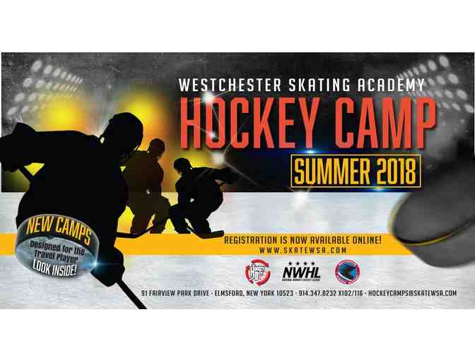 A Gift Certificate for $100 for any summer camp program at Westchester Skating Academy