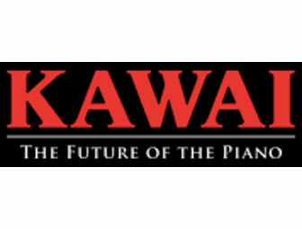 Piano (Kawai Black Console)
