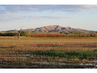 Trip to Bosque del Apache for six with dinner at The Owl Cafe $75 each)