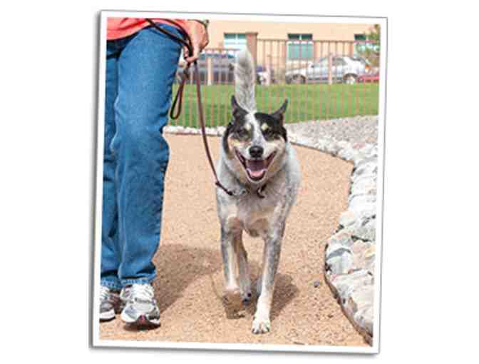 Dog Training - Manners Institute Stay  at Enchantment Pet Resort and Spa