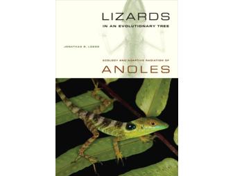 Autographed Copy of Lizards in an Evolutionary Tree: Ecology and Adaptive Radiation of Anoles