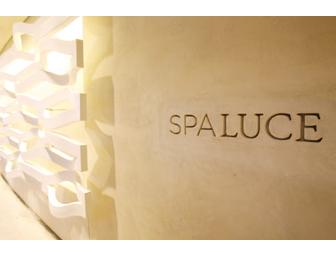 100 Gift Certificate to Spa Luce