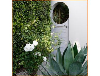 Consultation with Naomi Sanders, Landscape Designer