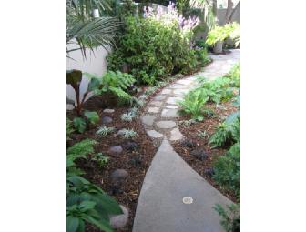 Landscape Design Consultation