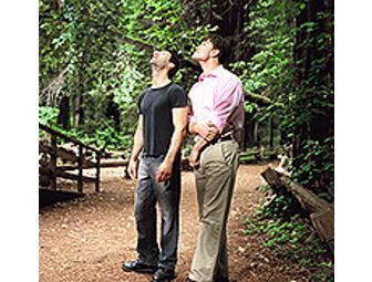 TLA RELEASING: DVD BASKET