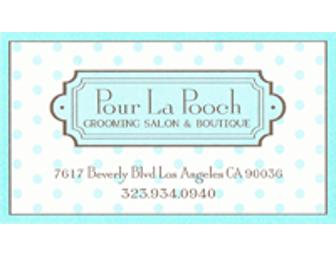 Pour La Pooch Grooming Services for your Pet