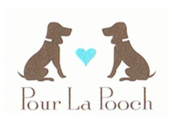 Pour La Pooch Grooming Services for your Pet