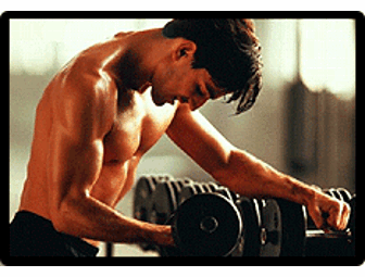 Personal training sessions with Ken Myers @ The Fitness Factory