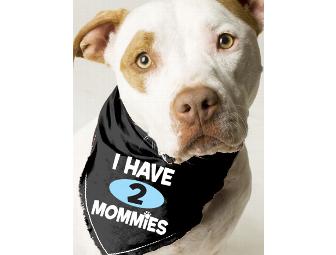 Ruff Ruff & Meow Mommies Dog Package