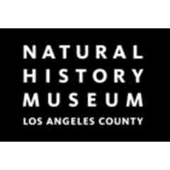 The Natural History Museum