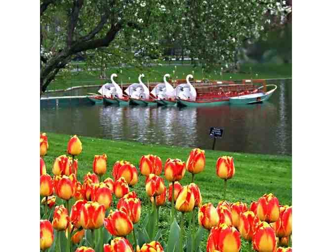 Swan Boats of Boston Passes
