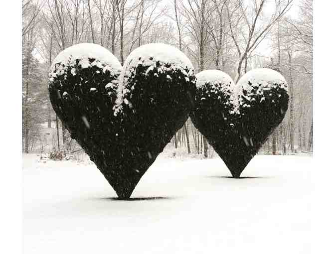 deCordova Sculpture Park and Museum Passes