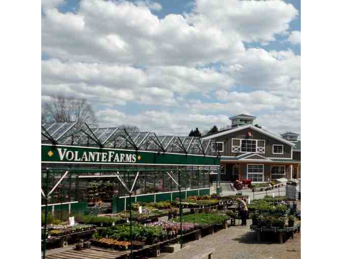$100 Gift Card to Volante Farms