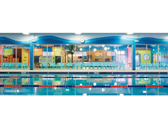 Swim Lessons at Goldfish Swim School