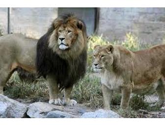 Southwick Zoo - Two (2) General Admission Passes