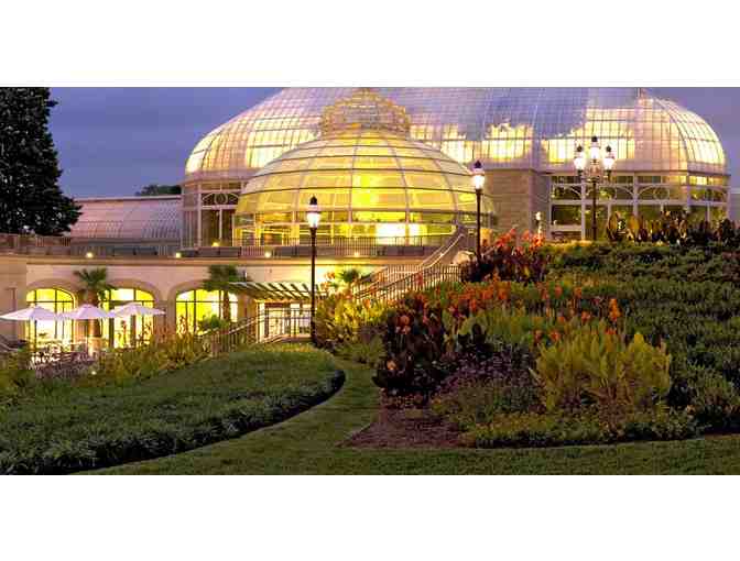 Exploring Pittsburgh's Green Oasis . . .at the Phipps Conservatory and Botanical Gardens