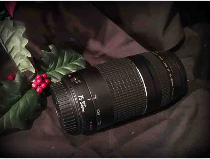 Canon DSLR Lense