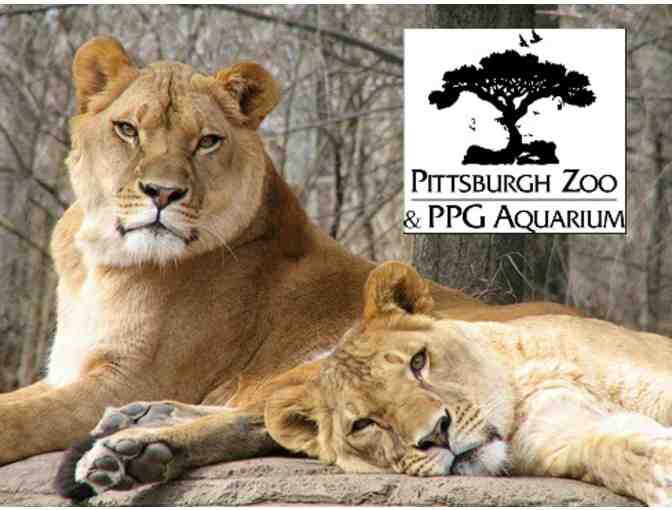 Lions, Tigers, Bears and More! . . .. Pittsburgh Zoo & PPG Aquarium