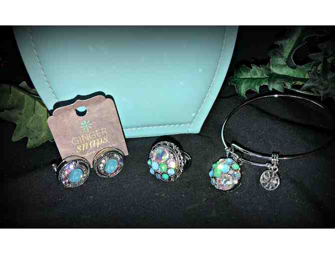 Ginger Snaps Jewelry and Case