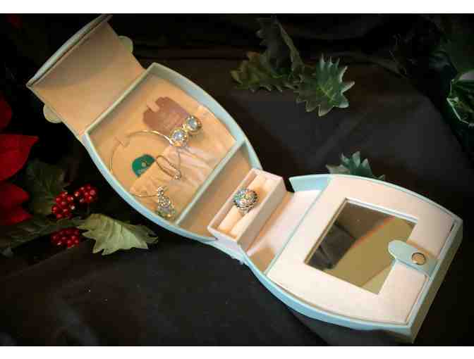 Ginger Snaps Jewelry and Case