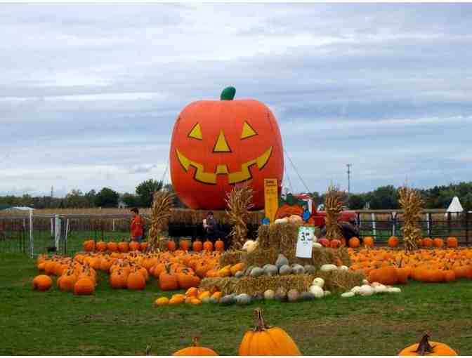 Triple B Farms - Family Fun at the Apple & Pumpkin Festival