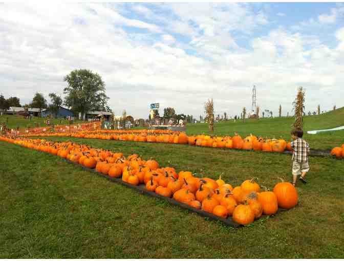 Triple B Farms - Family Fun at the Apple & Pumpkin Festival