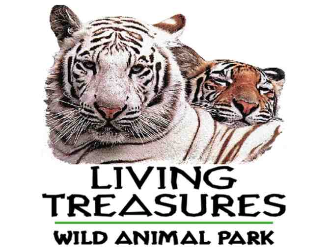 Up Close & Personal . . . With Critters Large and Small!