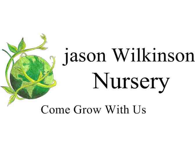 Horse Head  . . . a Live Christmas Wreath