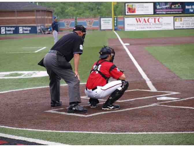 Baseball Outing II for Four with the Washington Wild Things!