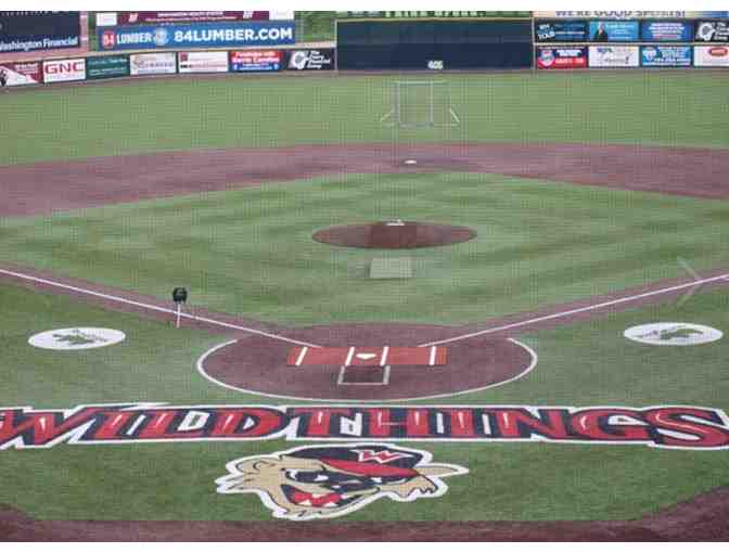 Baseball Outing . . . for Four with the Washington Wild Things!