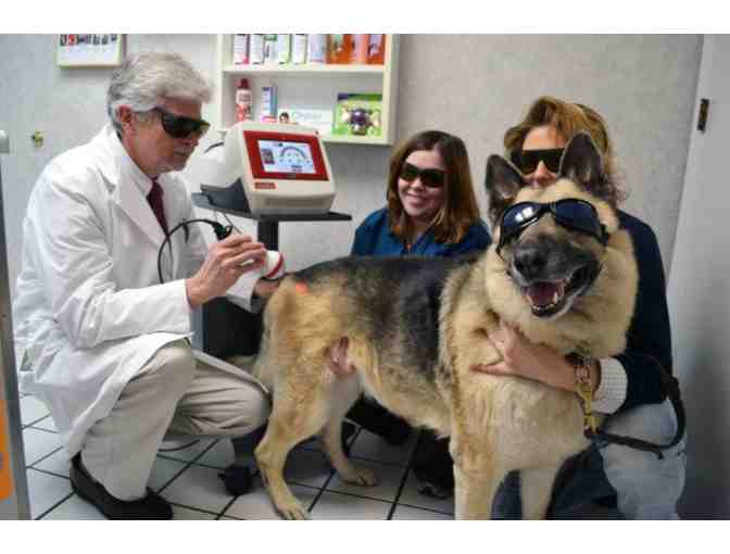 Keep Your Pet Healthy and Happy . . .