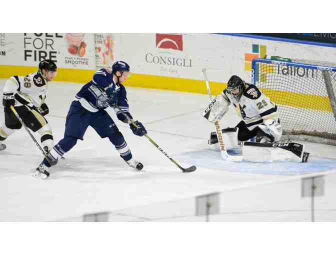 A Night of Hockey . . . with the Wheeling Nailers!