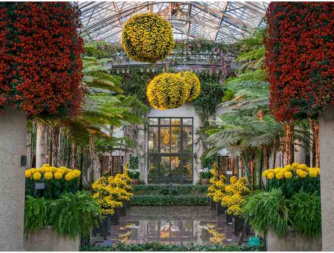 Longwood Gardens . . . One of the Great Gardens of the World