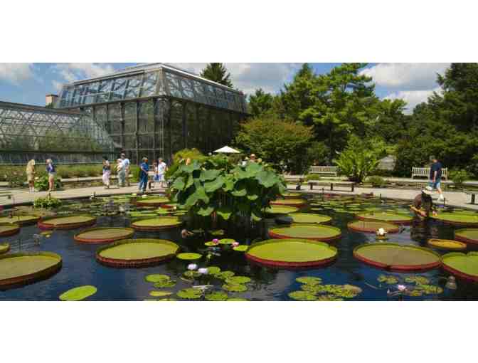 Longwood Gardens . . . One of the Great Gardens of the World