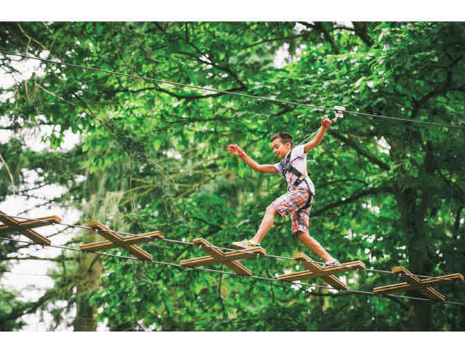 Go Ape . . . an outdoor adventure for two! - Photo 4