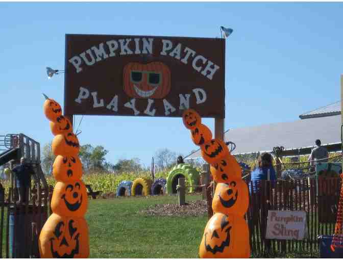A Day of Endless Farm Fun . . . at Pumpkin Patch Playland!
