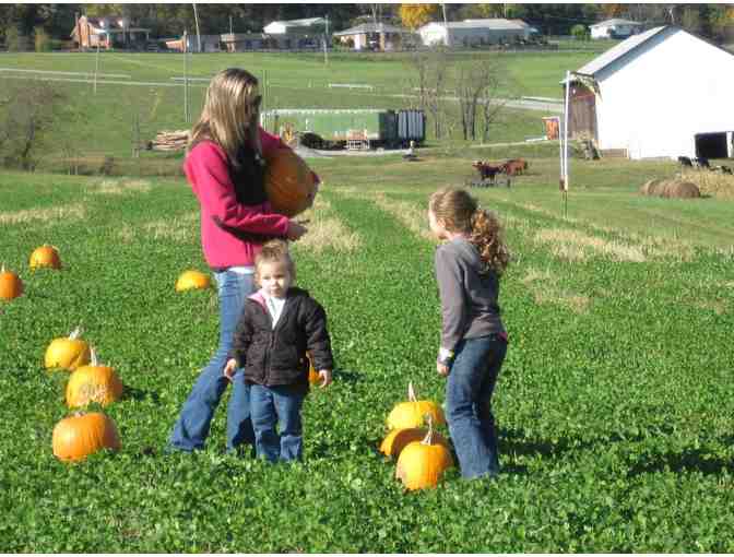 A Day of Endless Farm Fun . . . at Pumpkin Patch Playland!
