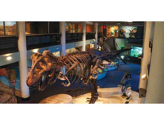 Discover Science Like Never Before . . .