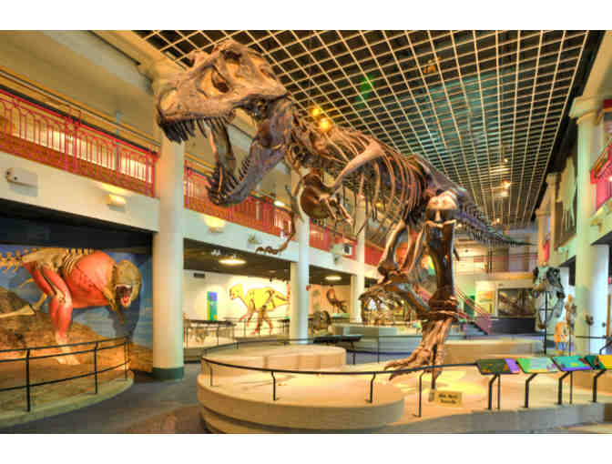 Discover Science Like Never Before . . .