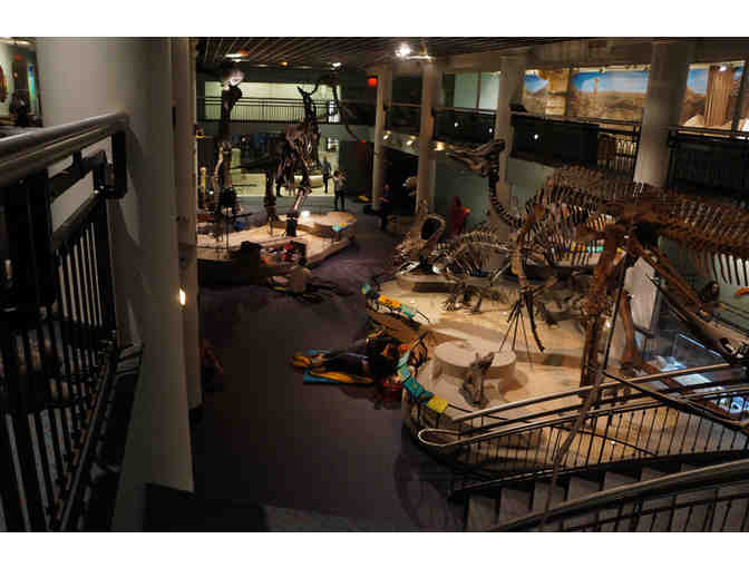 Discover Science Like Never Before . . .