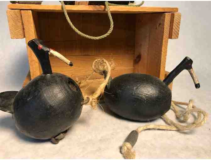 3 Root Head Coot Float Decoys in Wooden Box