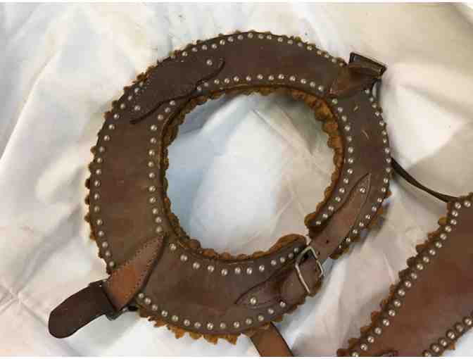 Antique Dog Sled Harnesses