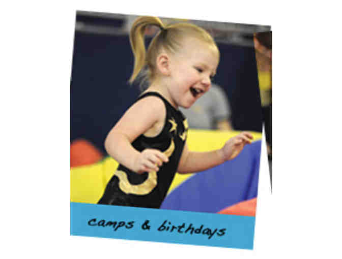 One 2-Hour Birthday Party for 10 at Gold Star Gymnastics