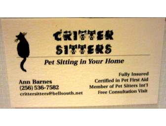 Pet Sitting Services