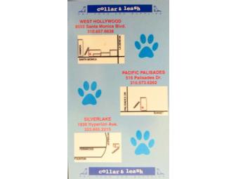Collar & Leash Pet Supplies Gift Certificate