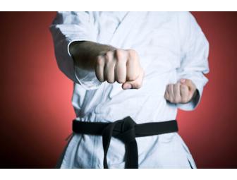 Lessons and Uniform from Brentwood Karate School