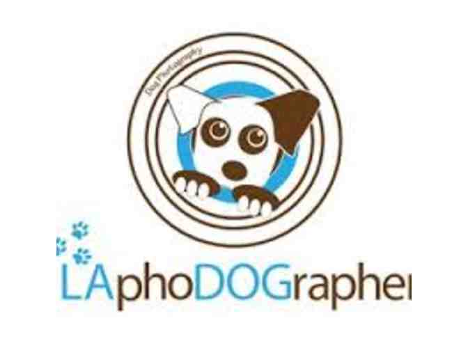 Pet Photography with LAPHODOGRAPHER