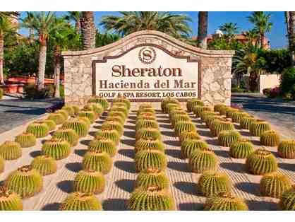 Sheraton Hacienda del Mar Vacation Club Resort - JULY 2016 - Mexico!