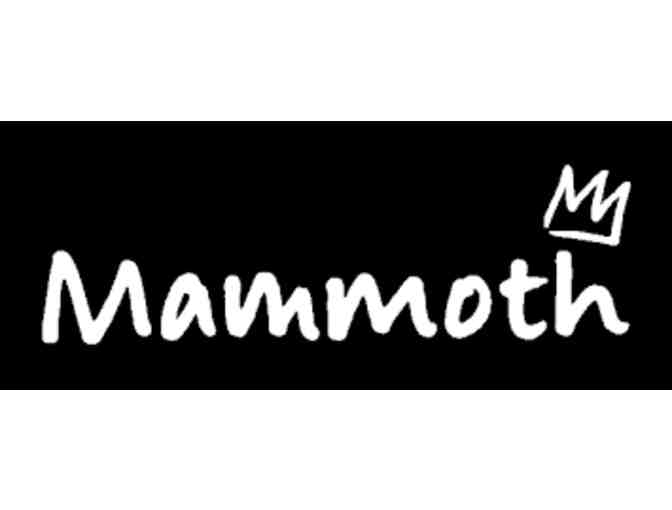 $150 Mammoth Mountain Gift Card